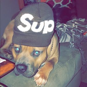 Meet your Posher, John